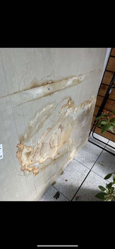 Bild zum BAU-Forumsbeitrag: Wasserschaden an Außenfassade: Trocknungsmaßnahmen und Schadensbehebung erforderlich? im Forum Außenwände und Fassaden
