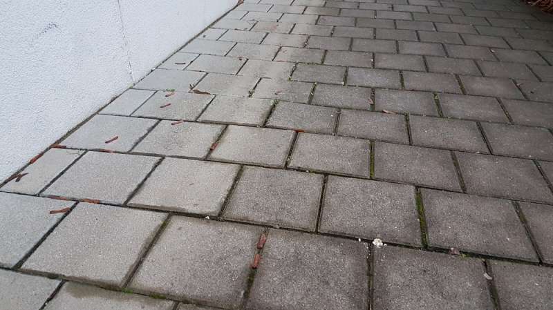 Bild zum BAU-Forumsbeitrag: Pflastersteine auf dem Gehweg plötzlich uneben im Forum Rund um den Garten