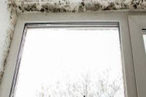 Schimmel am Fenster dauerhaft entfernen - Burdun Iliya auf Shutterstock