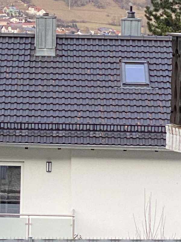 BAU.DE / Forum: 1. Bild zu Frage "Schäden der Dachpfannen" im Forum "Dach"