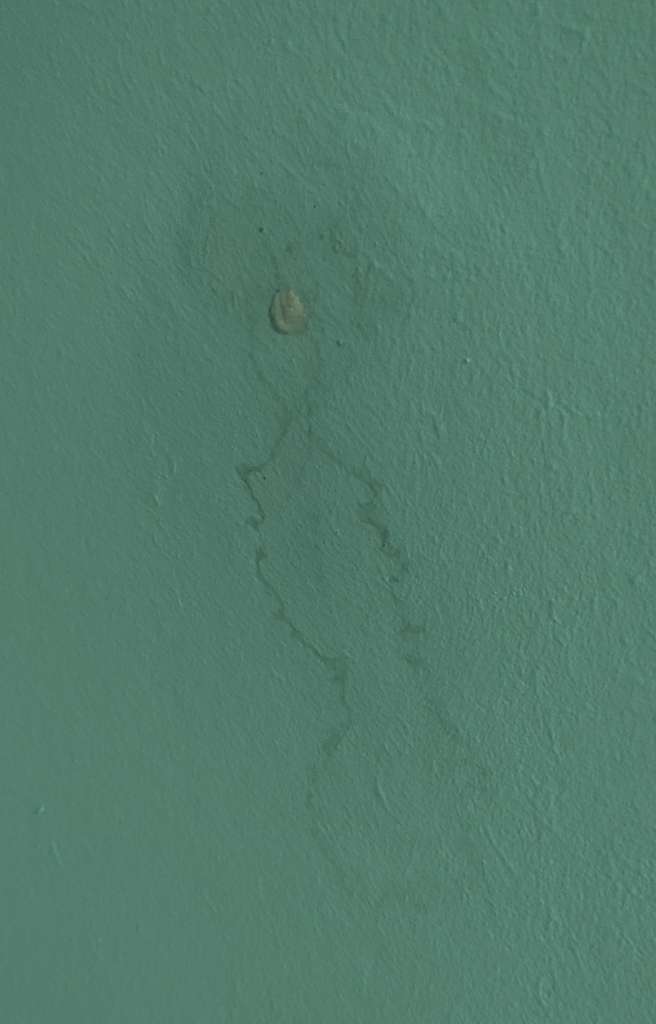 BAU.DE / BAU-Forum: 1. Bild zu Frage "Wasserrand & hohle Stelle in Rigips an Dachschräge: Ursache Wasser oder Tier?" im BAU-Forum "Dach" BAU.DE / BAU-Forum: 1. Bild zu Frage "Wasserrand & hohle Stelle in Rigips an Dachschräge: Ursache Wasser oder Tier?" im BAU-Forum "Dach"