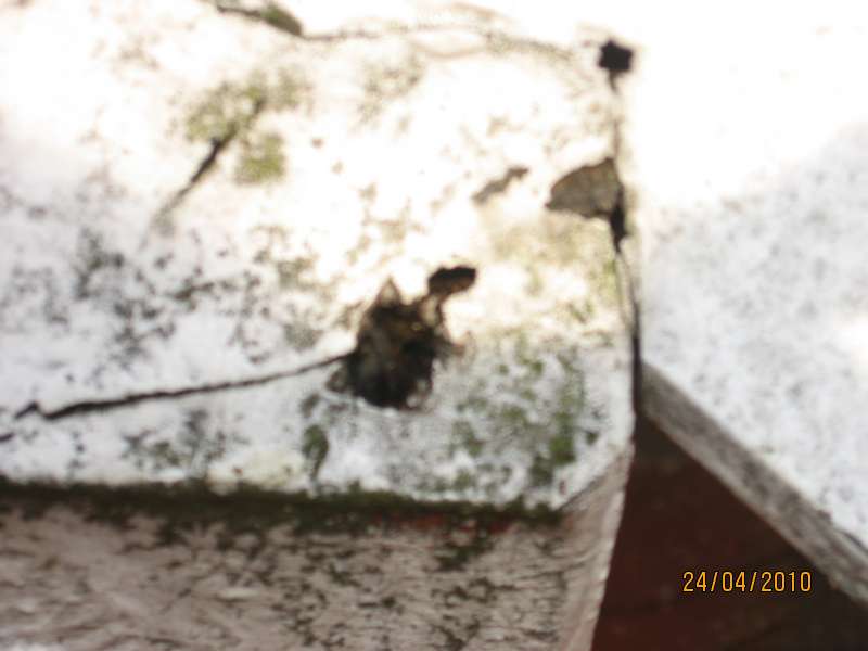 Bild zum BAU-Forumsbeitrag: 12 Jahre alte Pfetten und Sparren faulen an der Wetterseite im Forum Holzschutz, Holzschäden, Holzsanierung