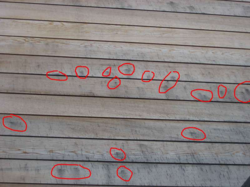Bild zum BAU-Forumsbeitrag: Schwarze Flecken / Auswaschungen auf Zedernverschalung im Forum Holzschutz, Holzschäden, Holzsanierung