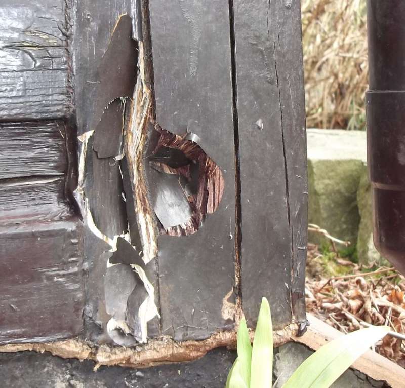 Bild zum BAU-Forumsbeitrag: Schaden Holz Wintergarten im Forum Holzschutz, Holzschäden, Holzsanierung