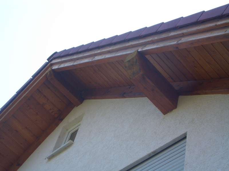 BAU.DE / Forum: 1. Bild zu Frage "Sanierung Dachüberstand" im Forum "Holzschutz, Holzschäden, Holzsanierung"