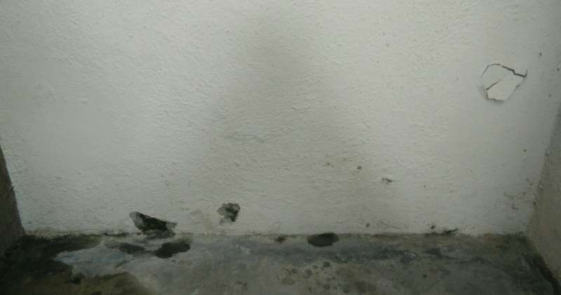 Bild zum BAU-Forumsbeitrag: Kellertreppe Feuchtigkeit bei Regen im Forum Keller