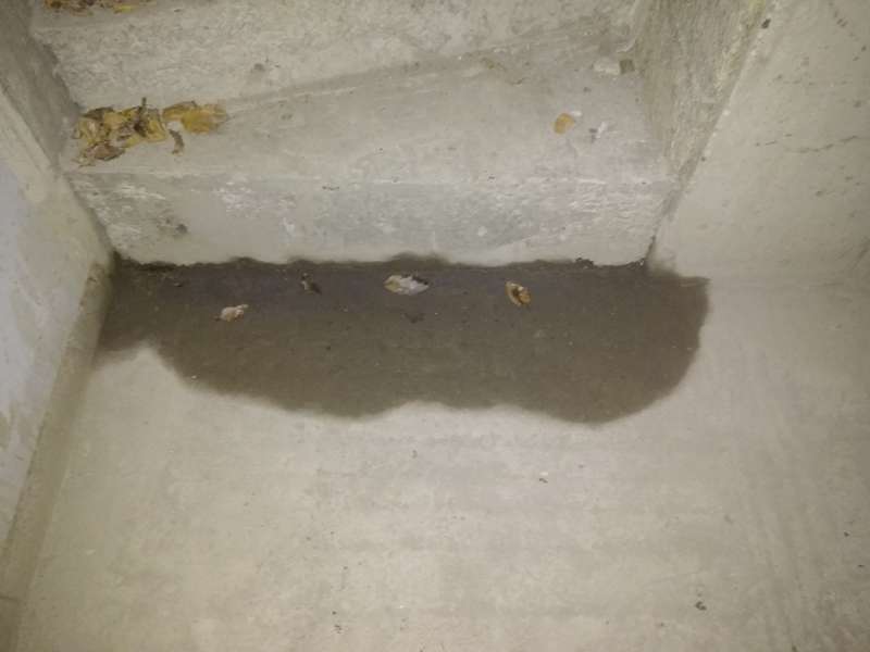 BAU.DE / BAU-Forum: 3. Bild zu Frage "Kann Wasser aus einem abgeschlossenen Raum durch Mörtel austreten?" im BAU-Forum "Keller"