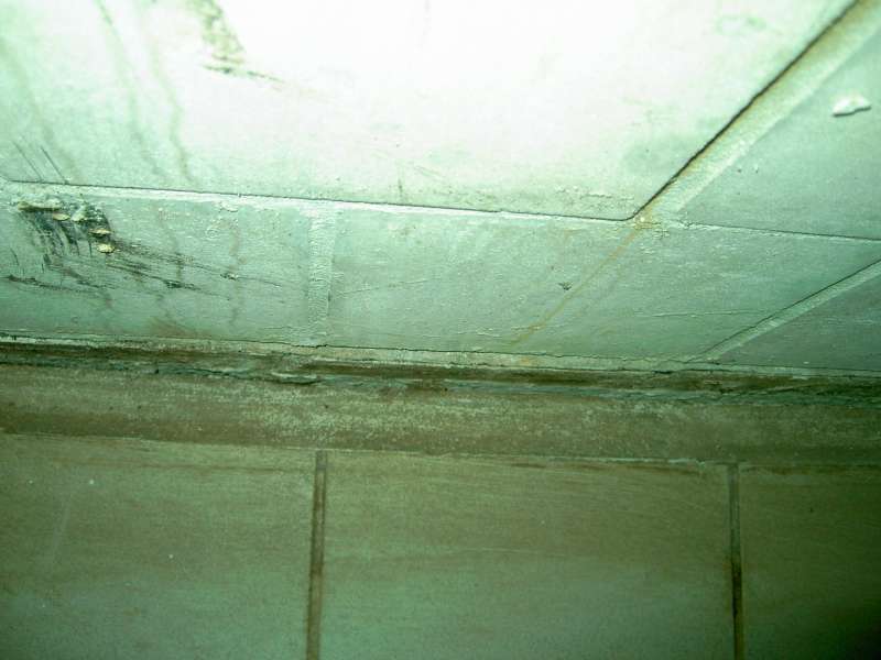 BAU.DE / BAU-Forum: 4. Bild zu Antwort "Fotos" auf die Frage "Wasserschaden im Keller durch falsch gesetztes Fallrohr" im BAU-Forum "Modernisierung / Sanierung / Bauschäden"
