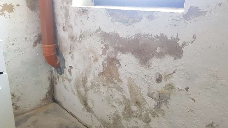 Bild zum BAU-Forumsbeitrag: Feuchtigkeit im Mauerwerk. Wie kann man das Problem beheben? im Forum Modernisierung / Sanierung / Bauschäden