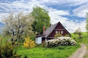 Baumplanung im neuen Garten: Das ist zu beachten - Bild: Stanly8853 auf Pixabay