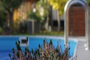 Entspannung pur: So schaffen Sie eine Wohlfühloase im Freien - Bild: Myléne auf Pixabay