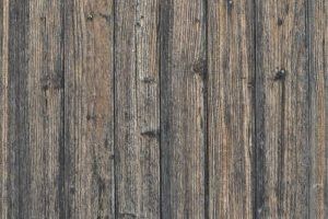 Wandverkleidung - So geht's - Bild: Katrin Knogler auf Pixabay