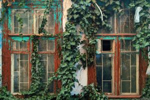 So erkennen Sie den perfekten Zeitpunkt für den Austausch Ihrer Fenster - Bild: Vadim Babenko / Unsplash