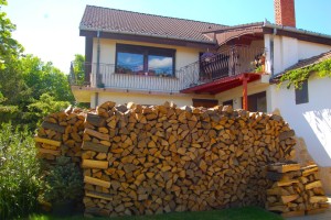 Maximale Freiheit im Garten: Die Vorteile freistehender Terrassenüberdachungen - Bild: ARC / Pixabay