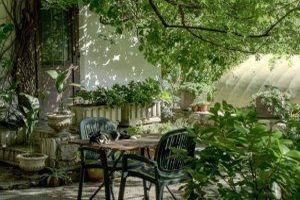 Warum Pflanzkübel aus Fieberglas die perfekte Wahl für Ihren Garten sind - Bild: Robin Wersich / Unsplash