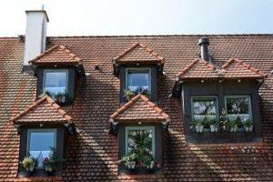 Nachhaltige Dachlösungen in Bad Kreuznach - Umweltfreundliche Innovationen von Ihrer Dachdeckerei - Bild: Manfred Antranias Zimmer / Pixabay