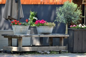 Langlebig, flexibel, eigenständig: Pflanzideen aus Metall - Bild: Ries Bosch / Unsplash