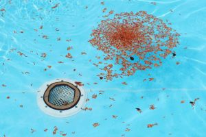 Professionelle vs. DIY-Rohrreinigung: Wann ist es Zeit, den Experten zu rufen? - Bild: Victoria Kure-Wu / Unsplash Professionelle vs. DIY-Rohrreinigung: Wann ist es Zeit, den Experten zu rufen? - Bild: Victoria Kure-Wu / Unsplash