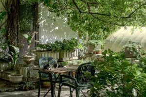 Urban Gardening und grüne Stadträume: Inspirationen für die Schaffung grüner Oasen in urbanen Umgebungen im Kontext größerer Immobilienprojekte - Bild: Robin Wersich / Unsplash