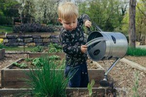 Urban Gardening und grüne Stadträume: Inspirationen für die Schaffung grüner Oasen in urbanen Umgebungen im Kontext größerer Immobilienprojekte - Bild: Filip Urban / Unsplash