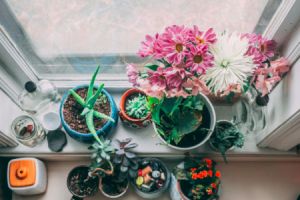 WERZALIT Fensterbänke: Qualität und Design vereint - Bild: Tucker Good / Unsplash