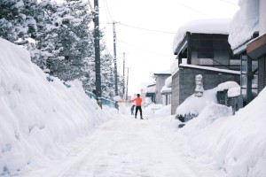 Winterzubehör für die Pflege Ihres Grundstücks: Nützliche Werkzeuge und Gadgets - Bild: Seiya Maeda / Unsplash