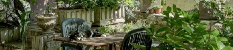Gartenplanung - ein wichtiger Teilaspekt beim Hausbau