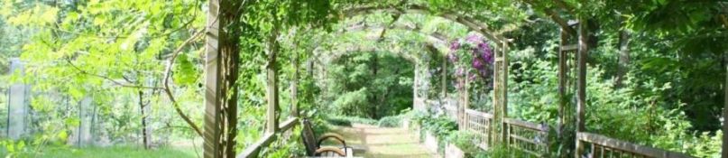 Die perfekte Pergola für Balkon und Terrasse: Platzsparende Ideen für kleine Außenbereiche