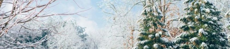 Die besten Tipps für die Vorbereitung auf den Winter: Sicherheit und Komfort im eigenen Zuhause